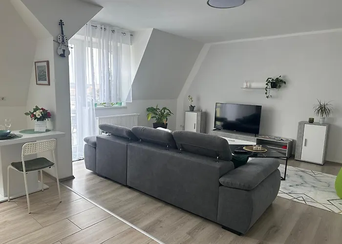 Appartement Ueber Den Daechern Von Halle Halle (Saale)